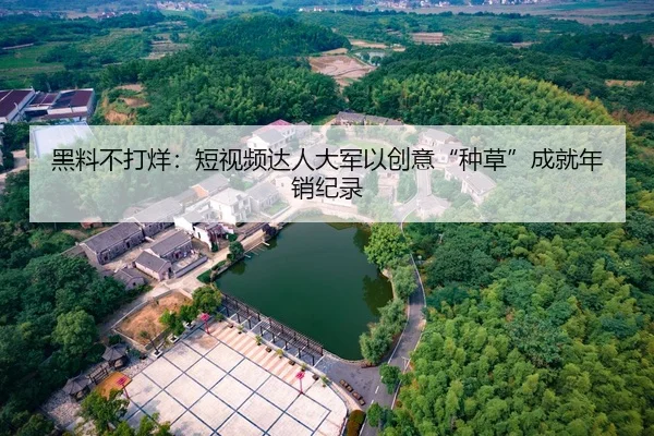 黑料不打烊：短视频达人大军以创意“种草”成就年销纪录